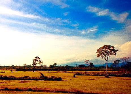 Santa Cruz landscape